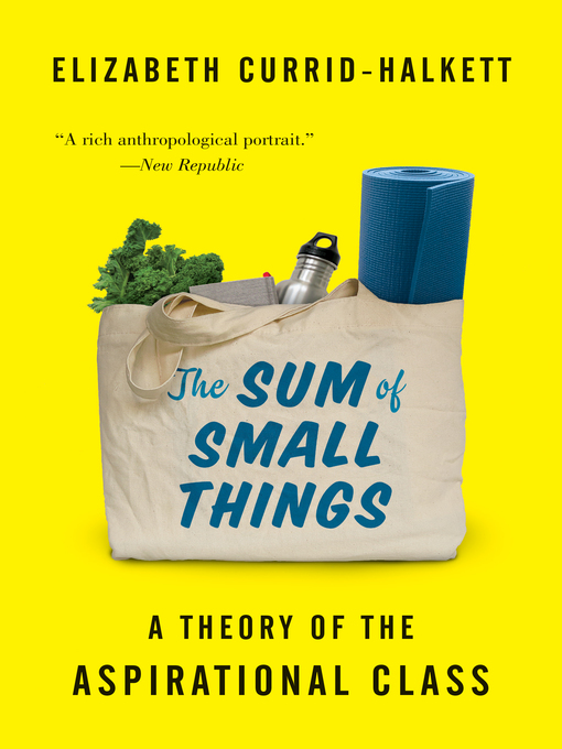 Title details for The Sum of Small Things by Elizabeth Currid-Halkett - Available